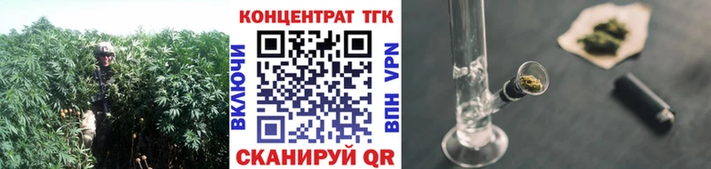 блэк спрут маркетплейс  Бородино  ТГК THC oil 