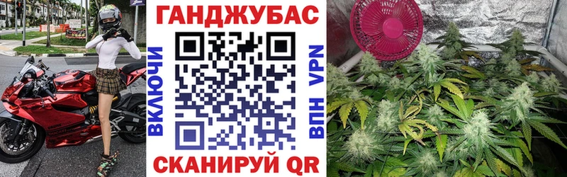 Каннабис планчик Бородино